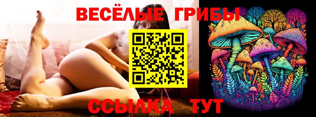 Котельники  Псилоцибиновые грибы Cubensis  Вход с VPN 