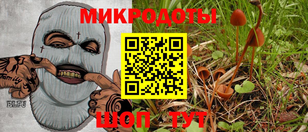 Псилоцибиновые грибы Psilocybine cubensis Котельники